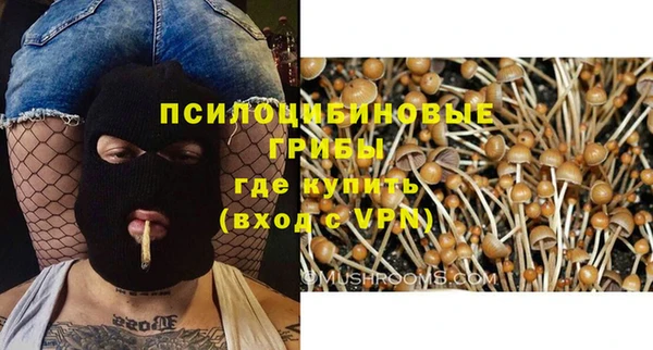 марки lsd Корсаков
