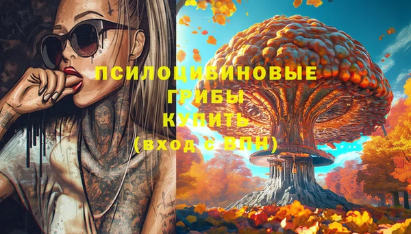 mdma Козловка