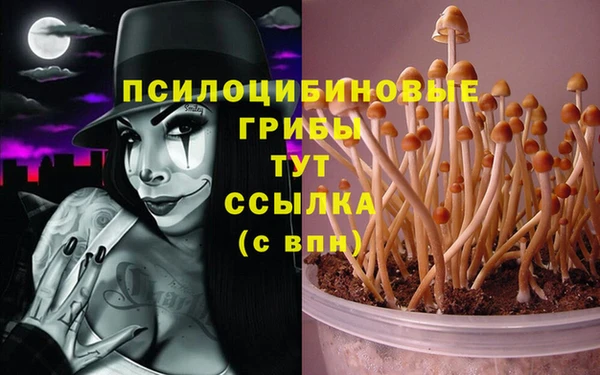 марки lsd Корсаков