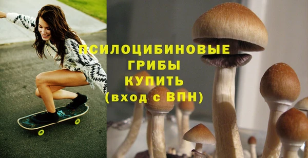 mdpv Костерёво