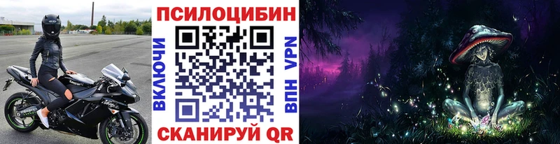 Купить закладки  Борзя  Псилоцибиновые грибы Psilocybe 