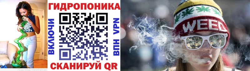 Купить где  Борзя  Канабис планчик 